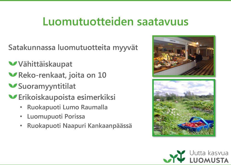 Suoramyyntitilat Erikoiskaupoista esimerkiksi Ruokapuoti