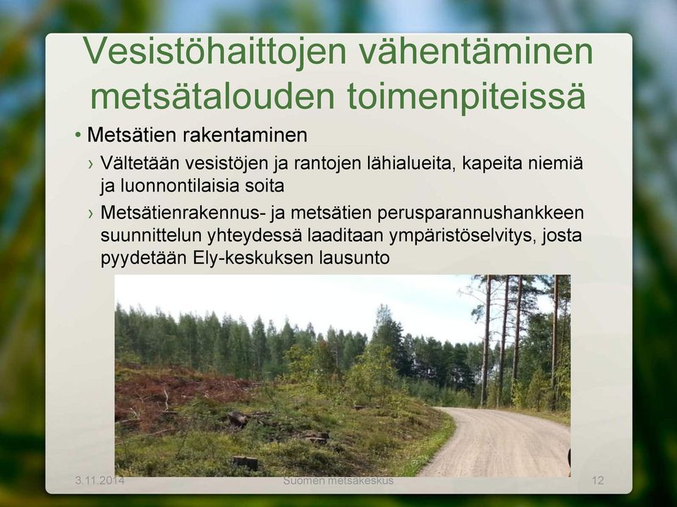 Metsätienrakennus- ja metsätien perusparannushankkeen suunnittelun yhteydessä