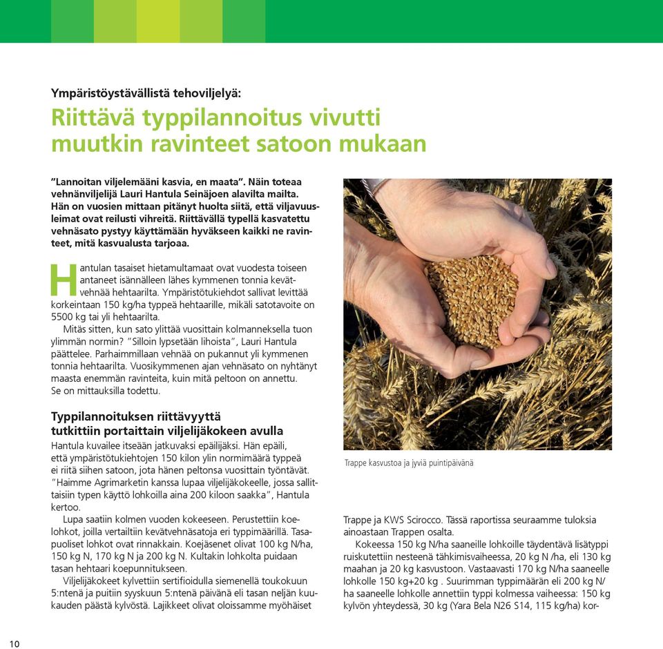 Riittävällä typellä kasvatettu vehnäsato pystyy käyttämään hyväkseen kaikki ne ravinteet, mitä kasvualusta tarjoaa.