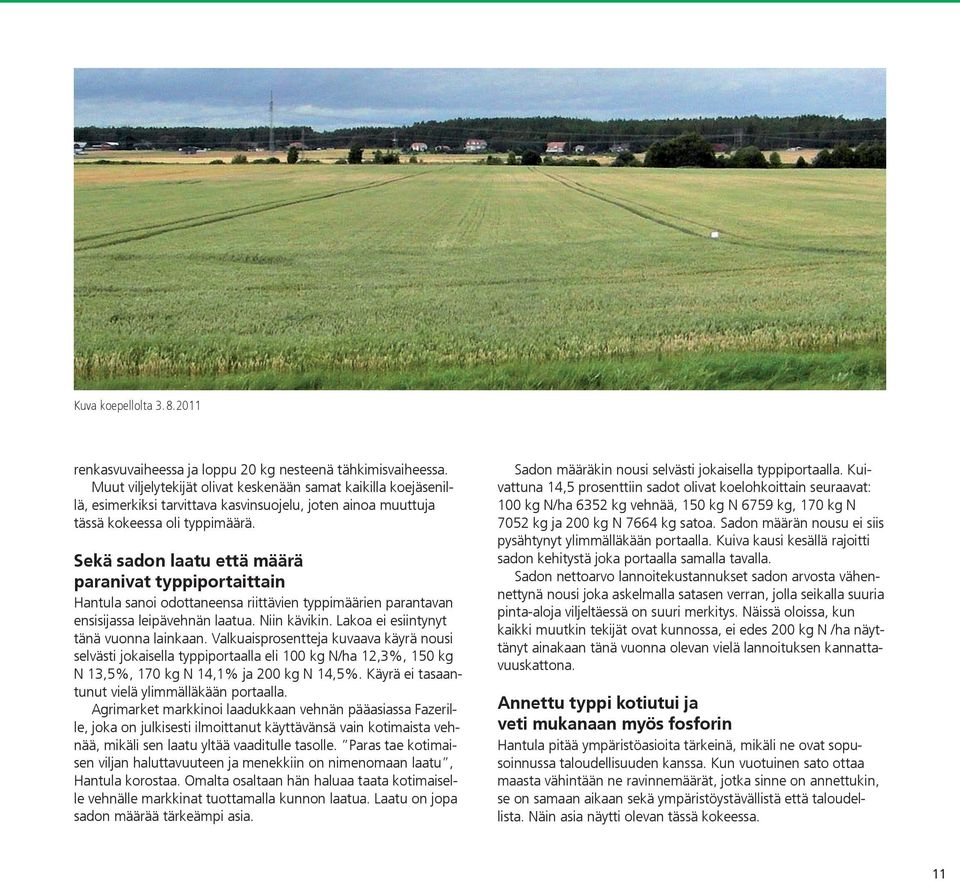 Sekä sadon laatu että määrä paranivat typpiportaittain Hantula sanoi odottaneensa riittävien typpimäärien parantavan ensisijassa leipävehnän laatua. Niin kävikin.