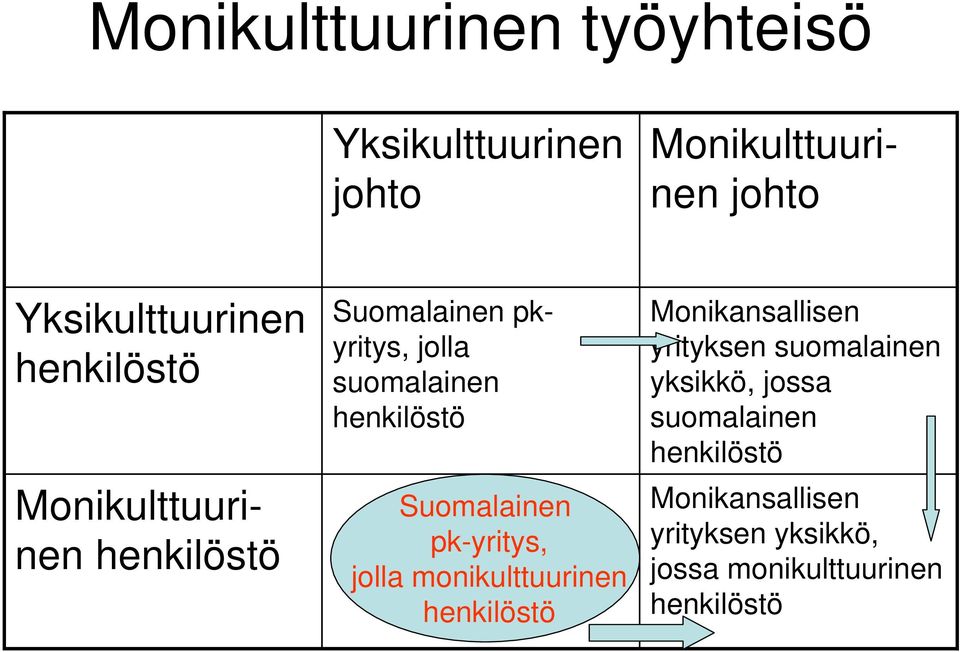 Suomalainen pk-yritys, jolla monikulttuurinen henkilöstö Monikansallisen yrityksen suomalainen