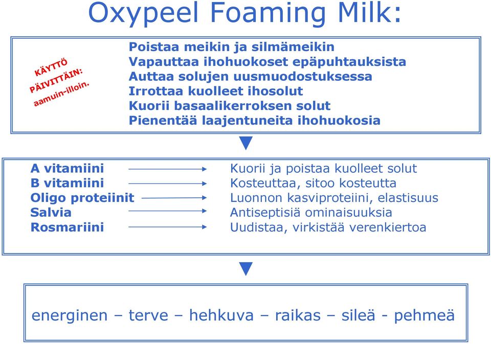 Kuorii basaalikerroksen solut Pienentää laajentuneita ihohuokosia A vitamiini B vitamiini Oligo proteiinit Salvia Rosmariini