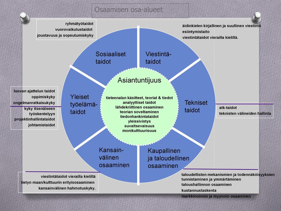 tieteenalan käsitteet, teoriat & tiedot analyyttiset taidot lähdekriittinen osaaminen teorian soveltaminen tiedonhankintataidot yleissivistys suvaitsevaisuus monikulttuurisuus Tekniset taidot