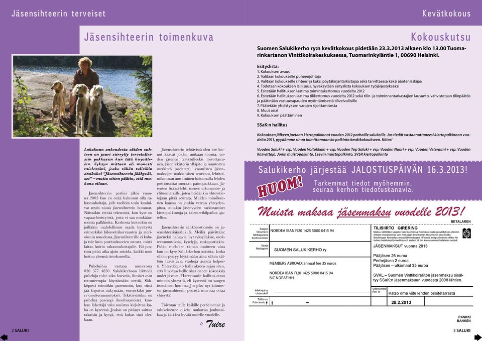 2 SALUKI Lokakuun ankeudesta säiden suhteen on juuri siirrytty tervetulleisiin pakkasiin kun tätä kirjoittelen.