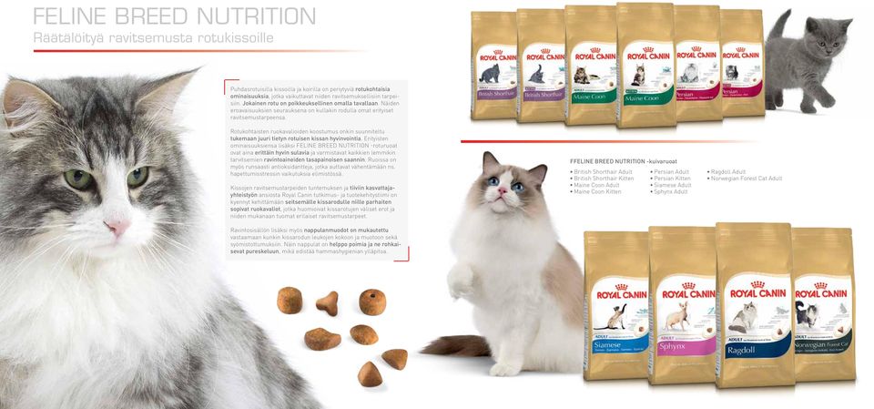 Rotukohtaisten ruokavalioiden koostumus onkin suunniteltu tukemaan juuri tietyn rotuisen kissan hyvinvointia.