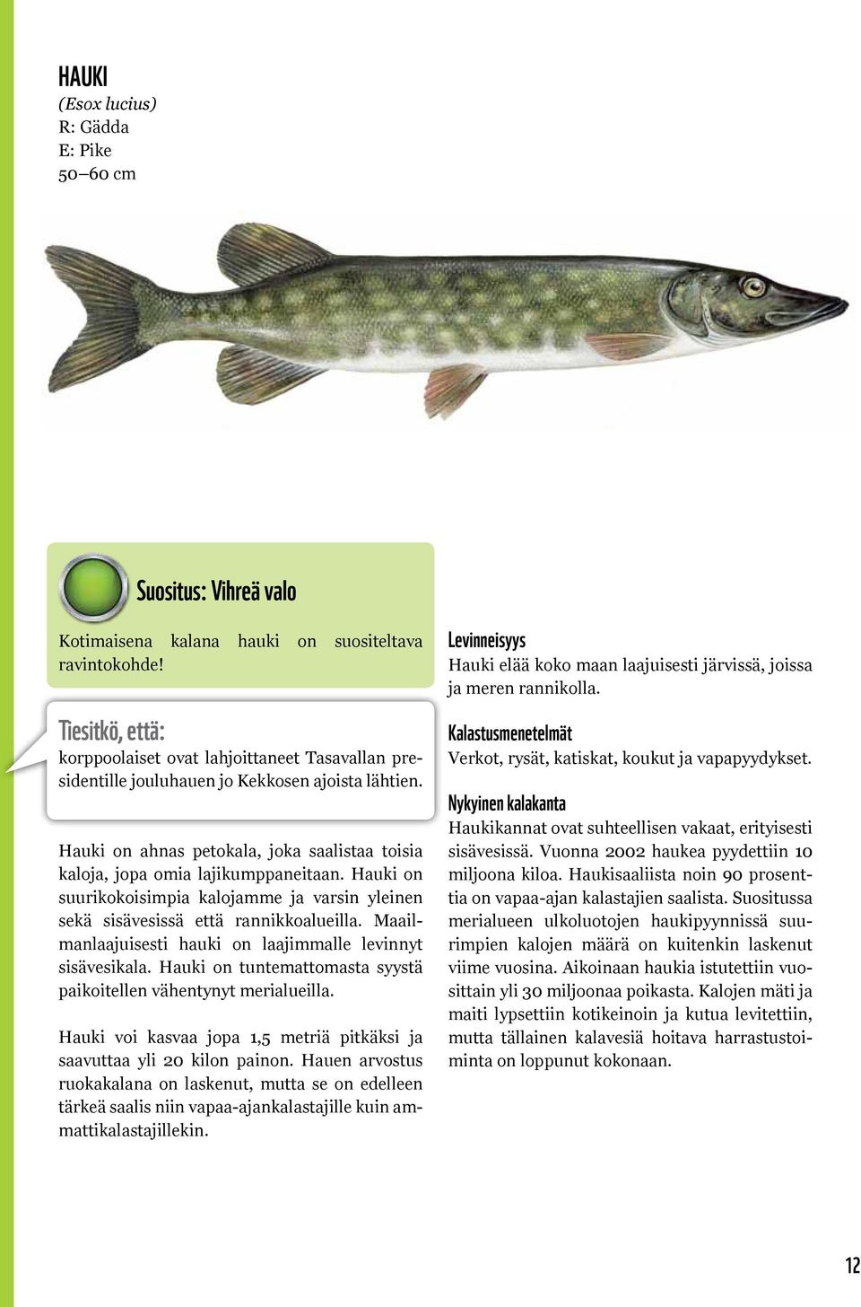 Hauki on suurikokoisimpia kalojamme ja varsin yleinen sekä sisävesissä että rannikkoalueilla. Maailmanlaajuisesti hauki on laajimmalle levinnyt sisävesikala.