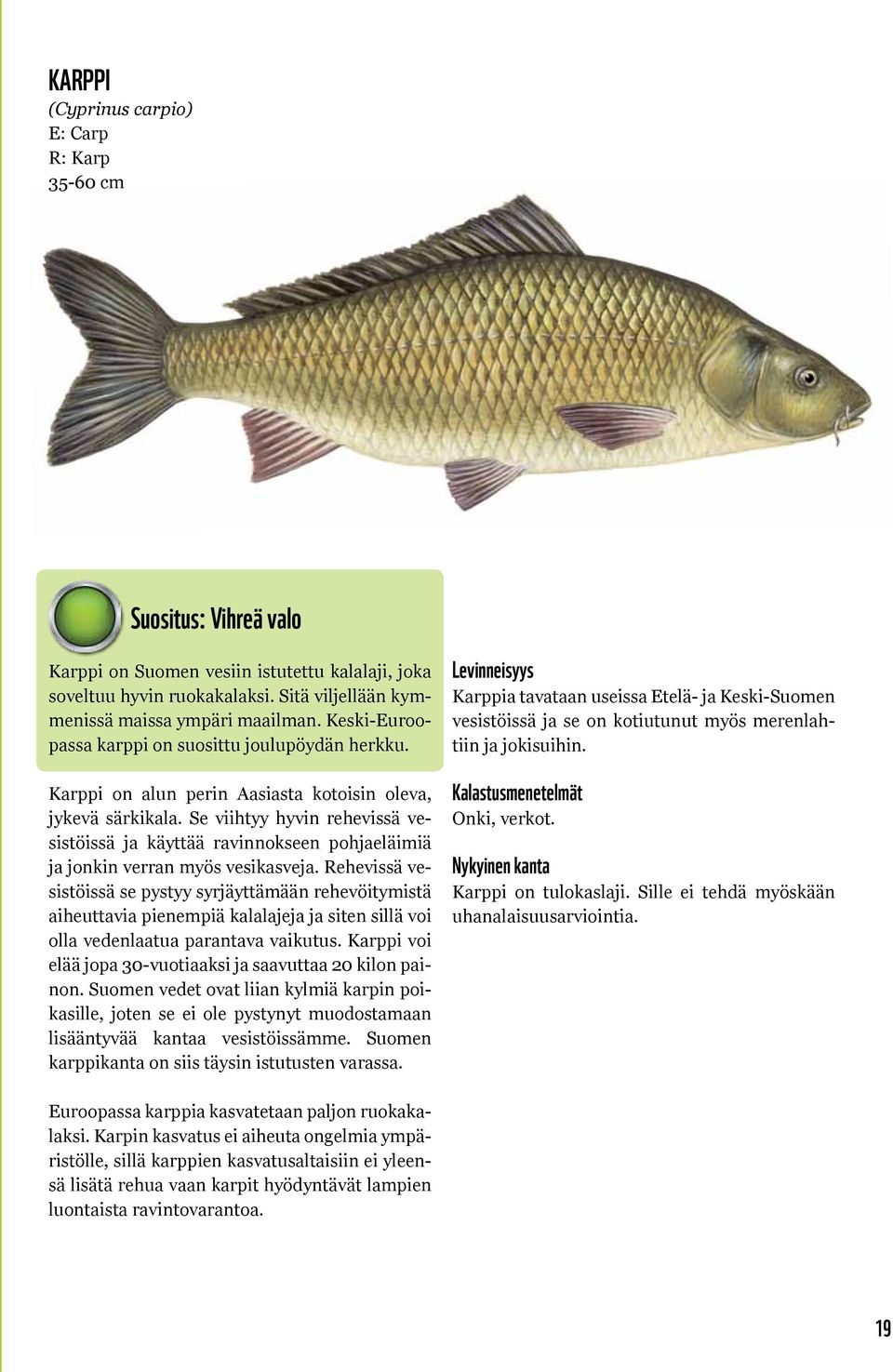 Se viihtyy hyvin rehevissä vesistöissä ja käyttää ravinnokseen pohjaeläimiä ja jonkin verran myös vesikasveja.