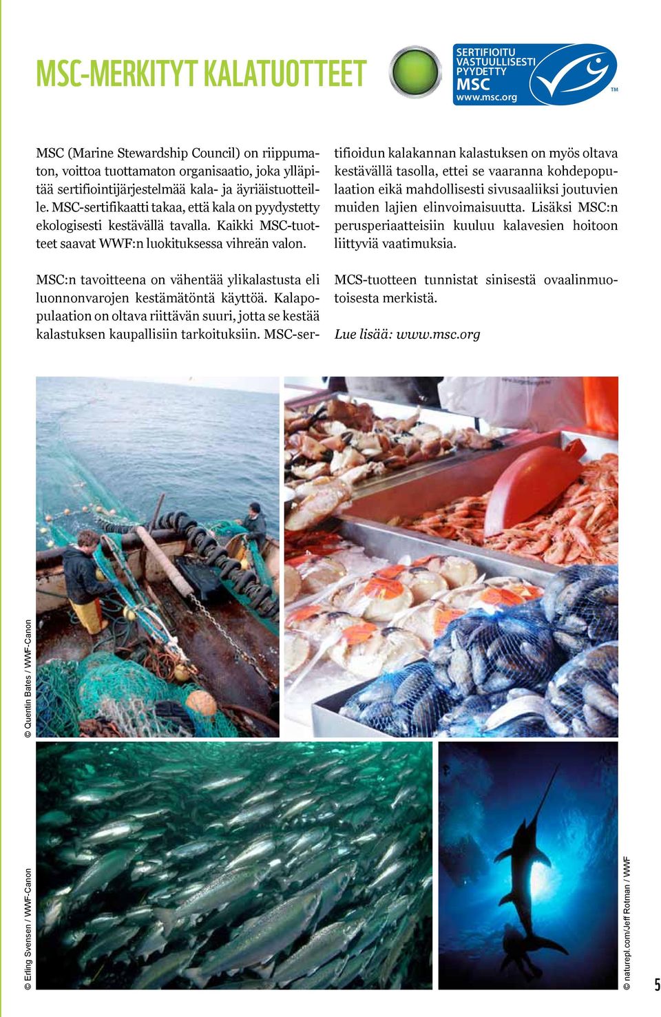MSC-sertifikaatti takaa, että kala on pyydystetty ekologisesti kestävällä tavalla. Kaikki MSC-tuotteet saavat WWF:n luokituksessa vihreän valon.
