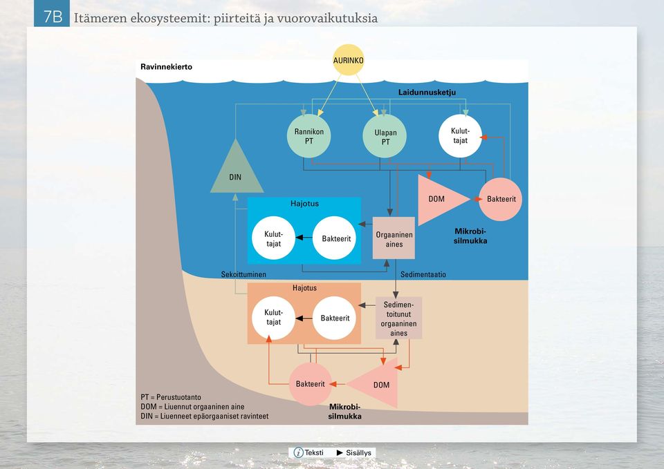 Sekoittuminen Hajotus Sedimentaatio Bakteerit Kuluttajat Sedimentoitunut orgaaninen aines PT =