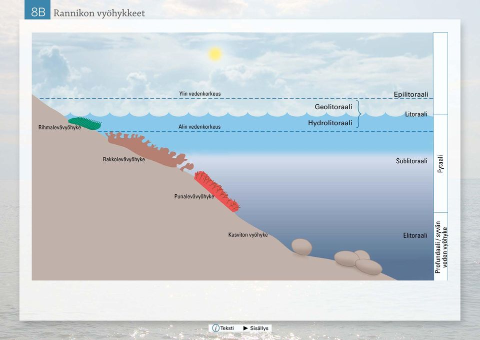 water Extreme low water Red algal zone Punalevävyöhyke Geolittoral Hydrolittoral