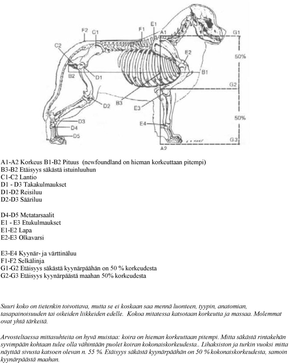 Suuri koko on tietenkin toivottava, mutta se ei koskaan saa mennä luonteen, tyypin, anatomian, tasapainoisuuden tai oikeiden liikkeiden edelle. Kokoa mitatessa katsotaan korkeutta ja massaa.