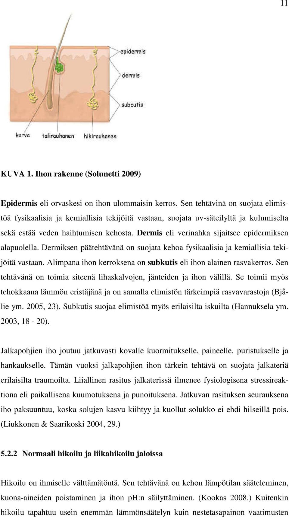 Dermis eli verinahka sijaitsee epidermiksen alapuolella. Dermiksen päätehtävänä on suojata kehoa fysikaalisia ja kemiallisia tekijöitä vastaan.