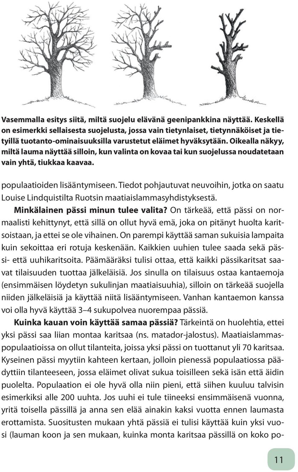 Oikealla näkyy, miltä lauma näyttää silloin, kun valinta on kovaa tai kun suojelussa noudatetaan vain yhtä, tiukkaa kaavaa. populaatioiden lisääntymiseen.