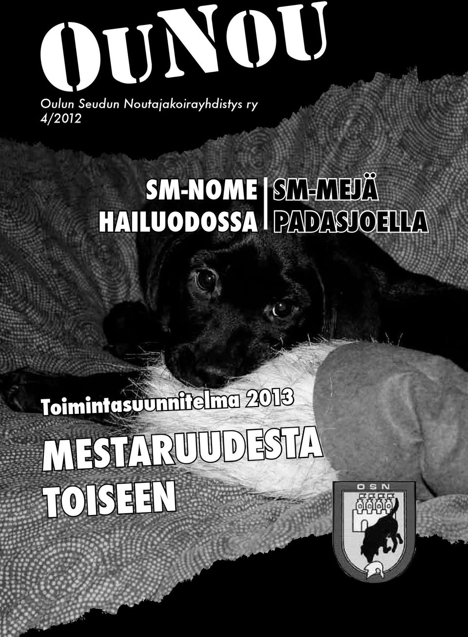 SM-NOME HAILUODOSSA SM-MEJÄ