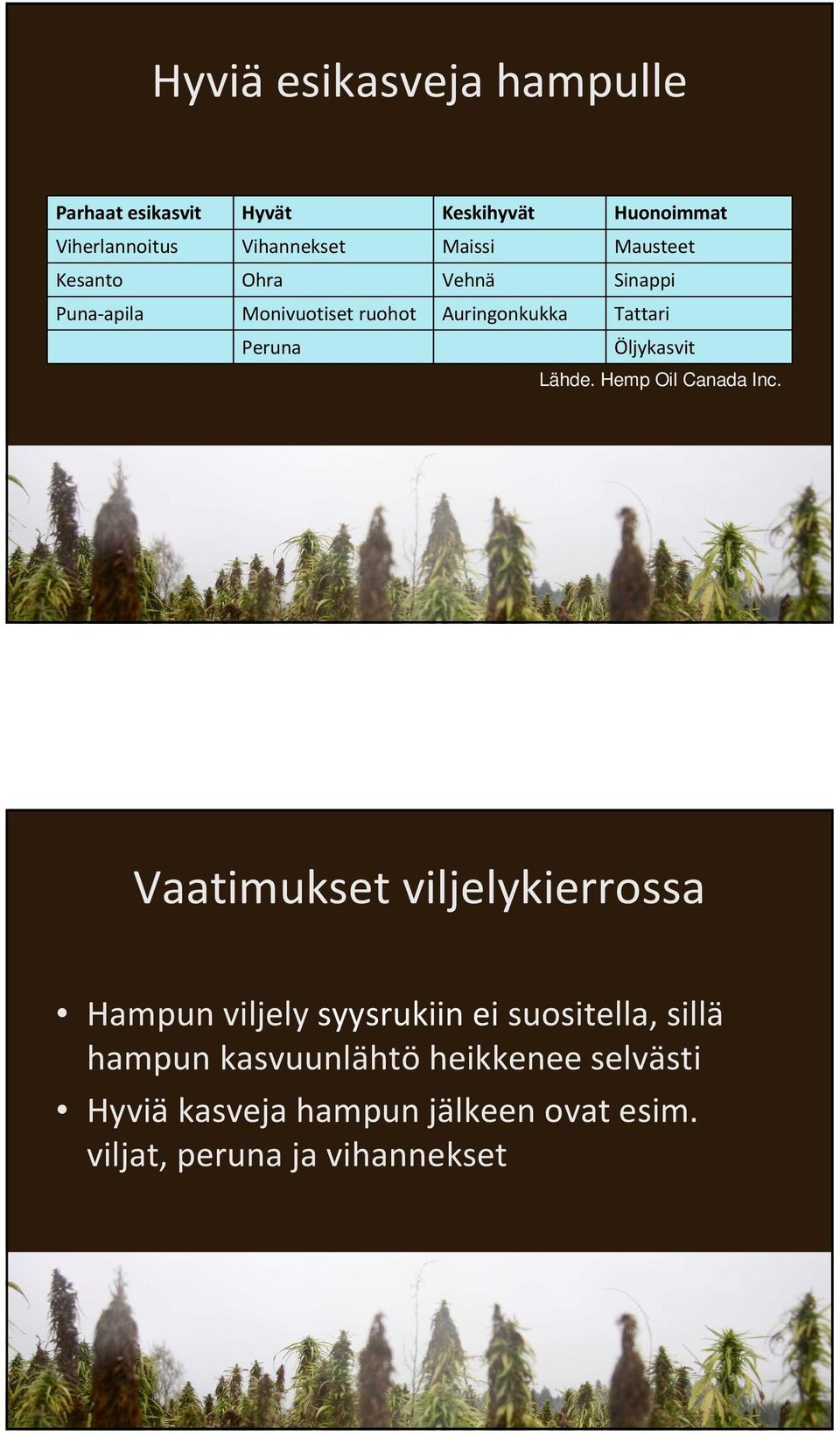 Öljykasvit Lähde. Hemp Oil Canada Inc.