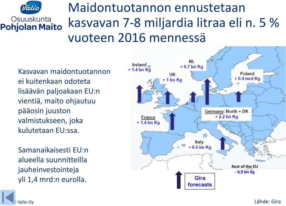 paljoakaan EU:n vientiä, maito ohjautuu pääosin juuston valmistukseen, joka kulutetaan