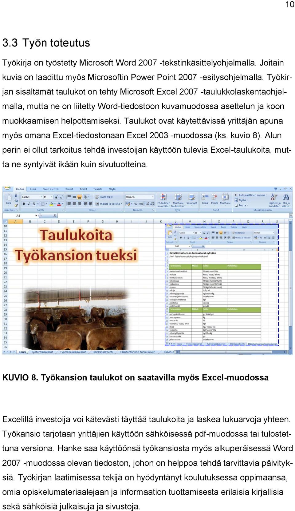 Taulukot ovat käytettävissä yrittäjän apuna myös omana Excel-tiedostonaan Excel 2003 -muodossa (ks. kuvio 8).