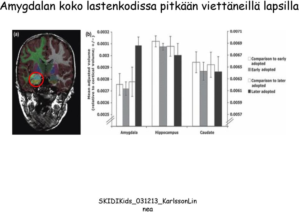 viettäneillä lapsilla