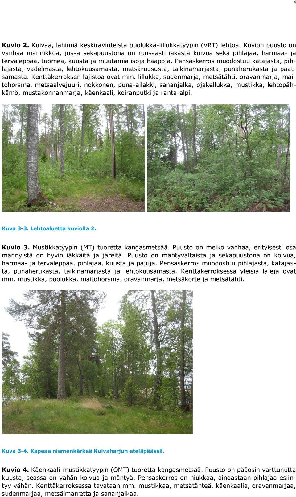 Kenttäkerroksen lajistoa ovat mm lillukka, sudenmarja, metsätähti, oravanmarja, maitohorsma, metsäalvejuuri, nokkonen, puna-ailakki, sananjalka, ojakellukka, mustikka, lehtopähkämö, mustakonnanmarja,