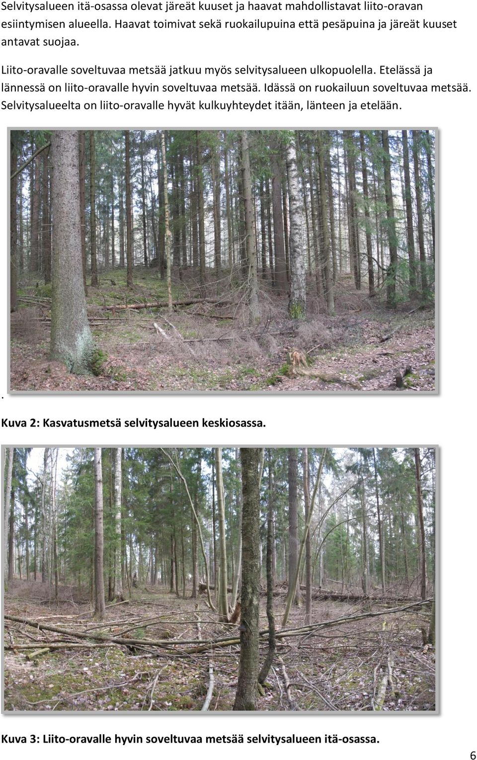 Liito-oravalle soveltuvaa metsää jatkuu myös selvitysalueen ulkopuolella. Etelässä ja lännessä on liito-oravalle hyvin soveltuvaa metsää.