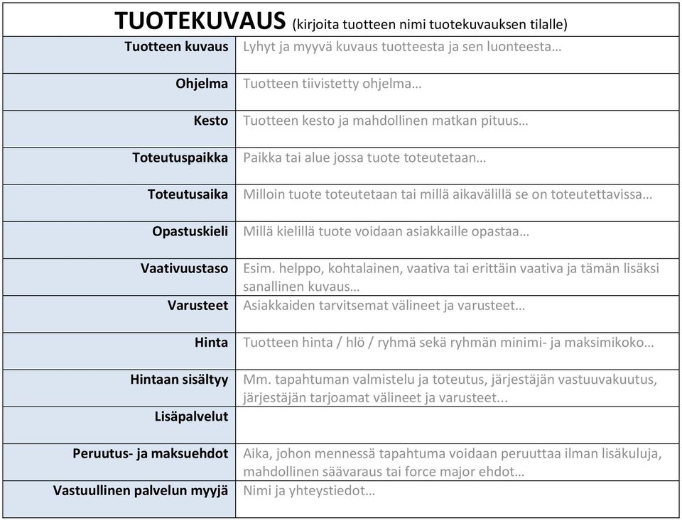 toteutetaan Milloin tuote toteutetaan tai millä aikavälillä se on toteutettavissa Millä kielillä tuote voidaan asiakkaille opastaa Esim.