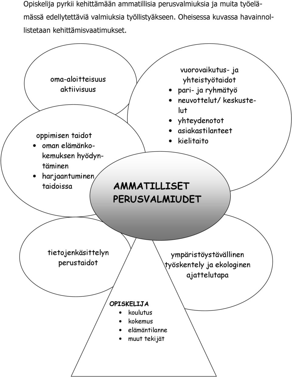 oma-aloitteisuus aktiivisuus oppimisen taidot oman elämänkokemuksen hyödyntäminen harjaantuminen taidoissa AMMATILLISET PERUSVALMIUDET