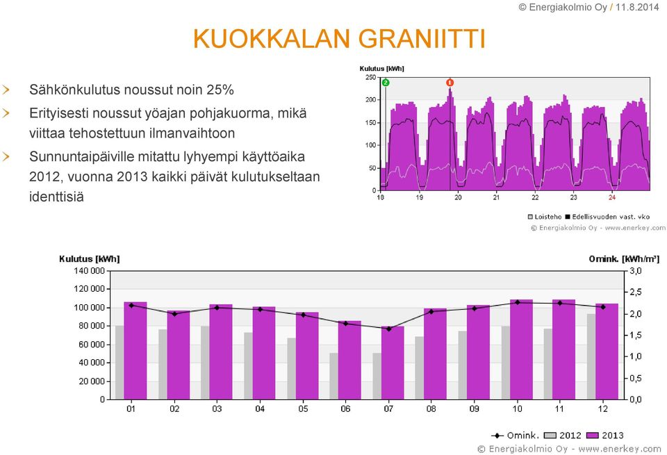 Erityisesti noussut yöajan pohjakuorma, mikä viittaa tehostettuun