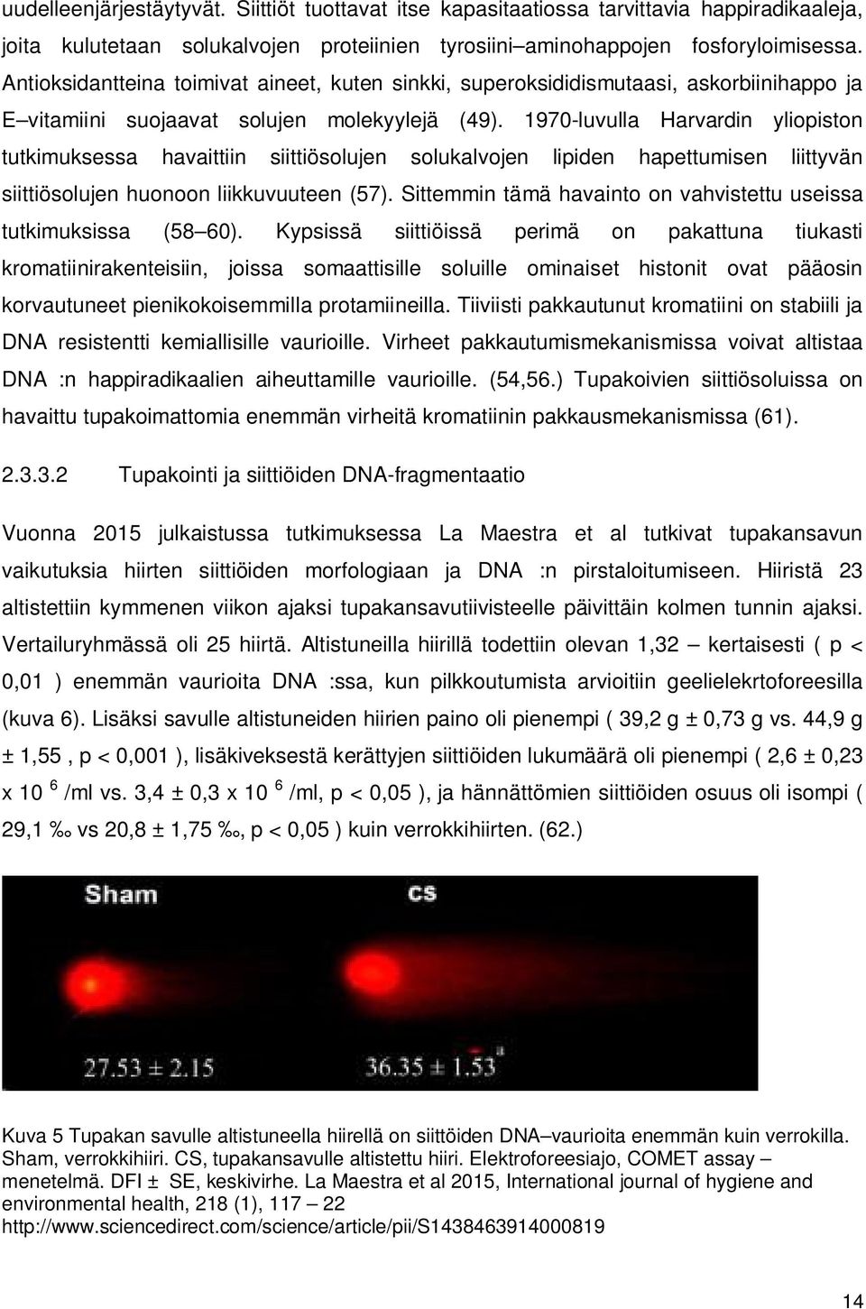 1970-luvulla Harvardin yliopiston tutkimuksessa havaittiin siittiösolujen solukalvojen lipiden hapettumisen liittyvän siittiösolujen huonoon liikkuvuuteen (57).