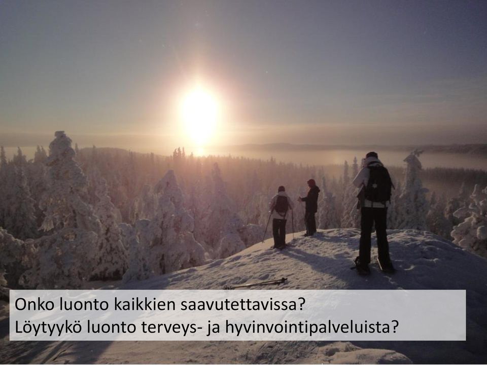 Löytyykö luonto