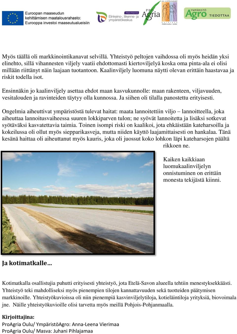 Kaalinviljely luomuna näytti olevan erittäin haastavaa ja riskit todella isot.