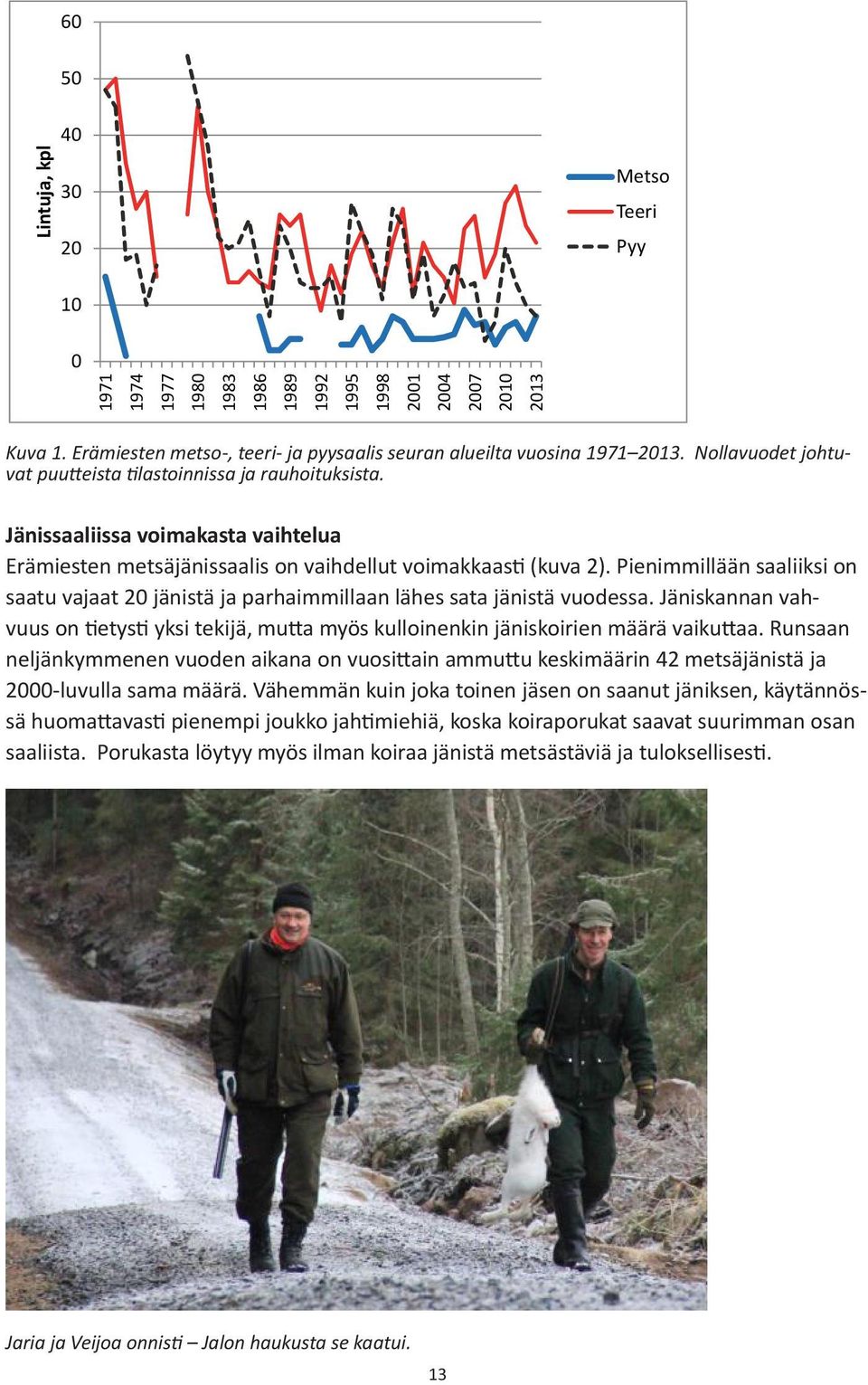 Pienimmillään saaliiksi on saatu vajaat 6 2 jänistä ja parhaimmillaan lähes sata jänistä vuodessa.