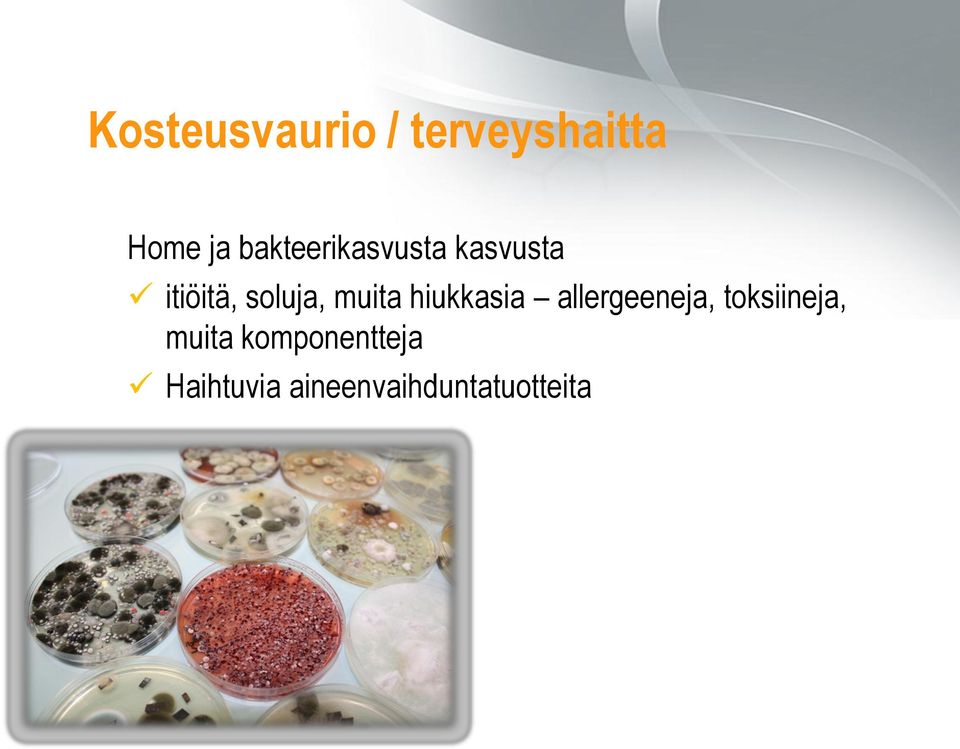 muita hiukkasia allergeeneja, toksiineja,
