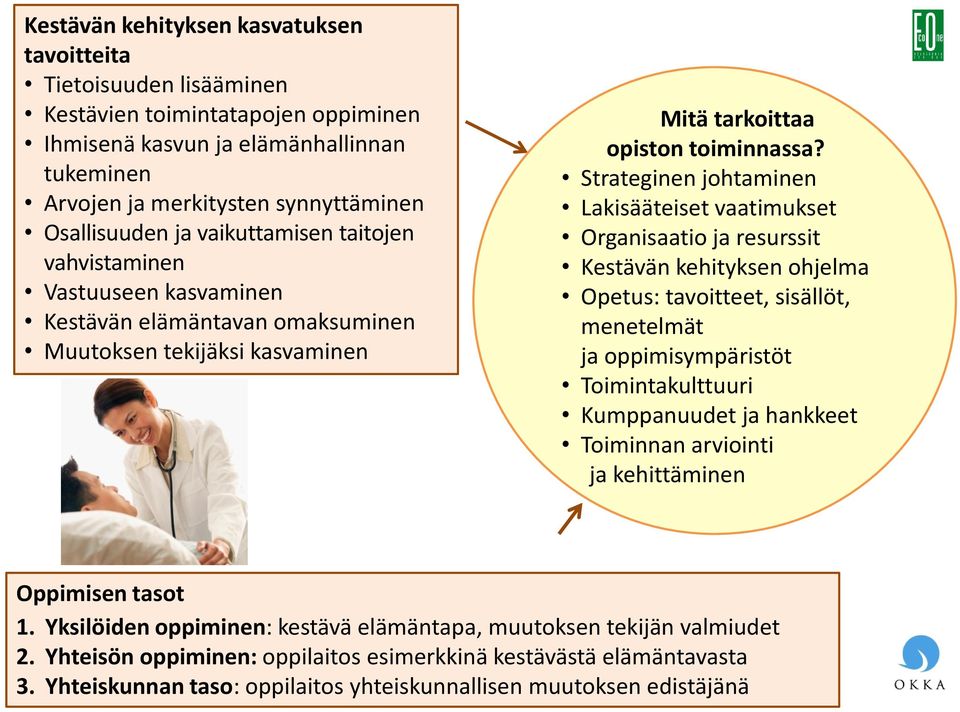 Strateginen johtaminen Lakisääteiset vaatimukset Organisaatio ja resurssit Kestävän kehityksen ohjelma Opetus: tavoitteet, sisällöt, menetelmät ja oppimisympäristöt Toimintakulttuuri Kumppanuudet ja