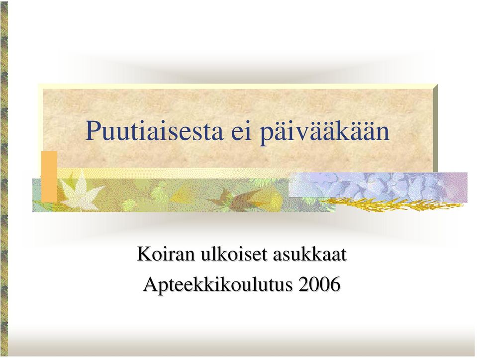 ulkoiset asukkaat