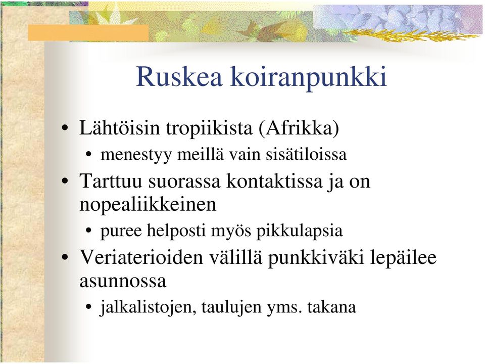nopealiikkeinen puree helposti myös pikkulapsia Veriaterioiden