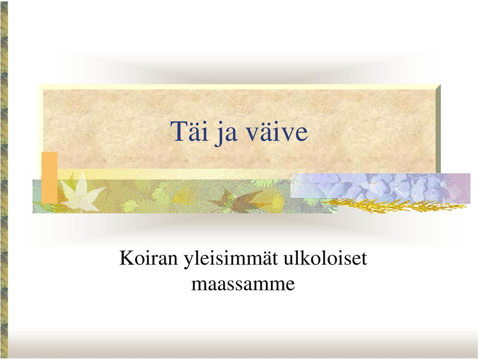 yleisimmät