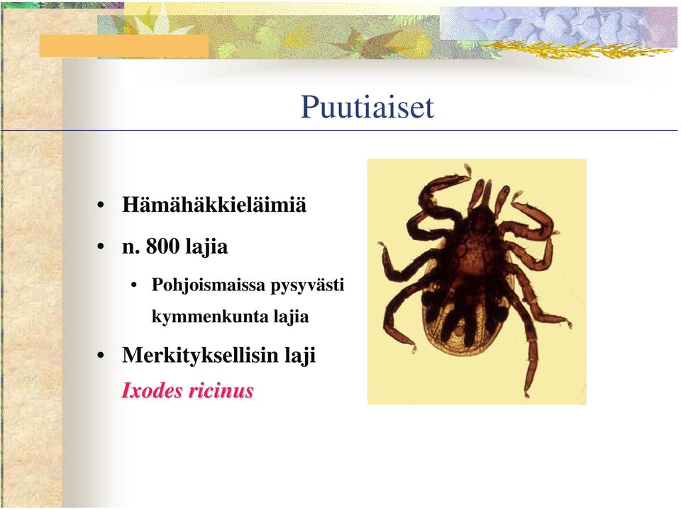 pysyvästi kymmenkunta lajia