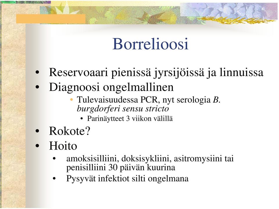 burgdorferi sensu stricto Parinäytteet 3 viikon välillä Rokote?