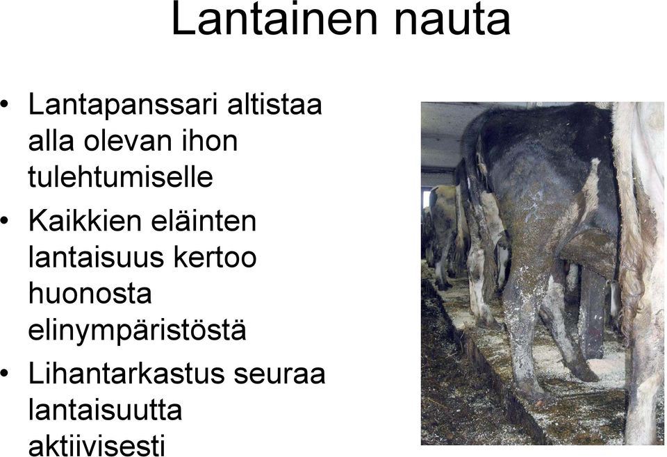 lantaisuus kertoo huonosta elinympäristöstä