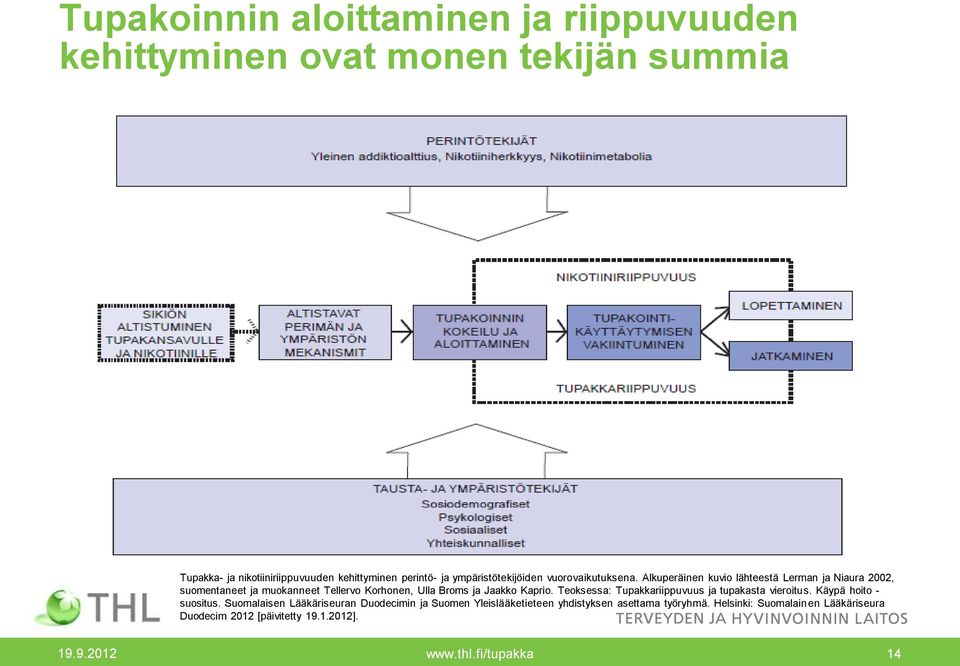 Alkuperäinen kuvio lähteestä Lerman ja Niaura 2, suomentaneet ja muokanneet Tellervo Korhonen, Ulla Broms ja Jaakko Kaprio.