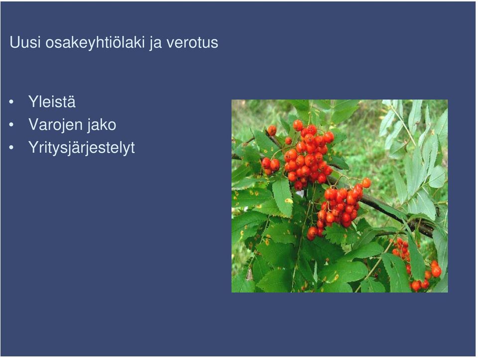 verotus Yleistä