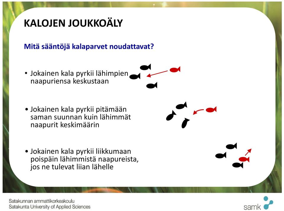 pyrkii pitämään saman suunnan kuin lähimmät naapurit keskimäärin