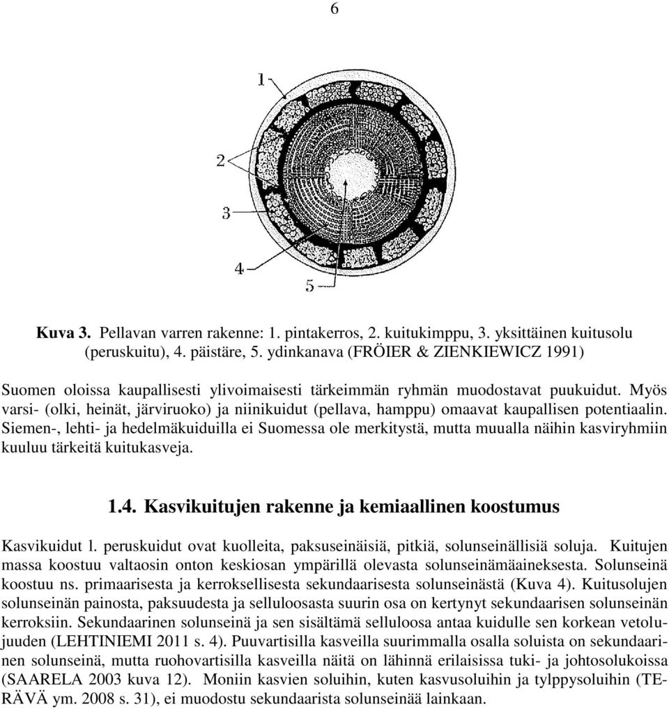 Myös varsi- (olki, heinät, järviruoko) ja niinikuidut (pellava, hamppu) omaavat kaupallisen potentiaalin.