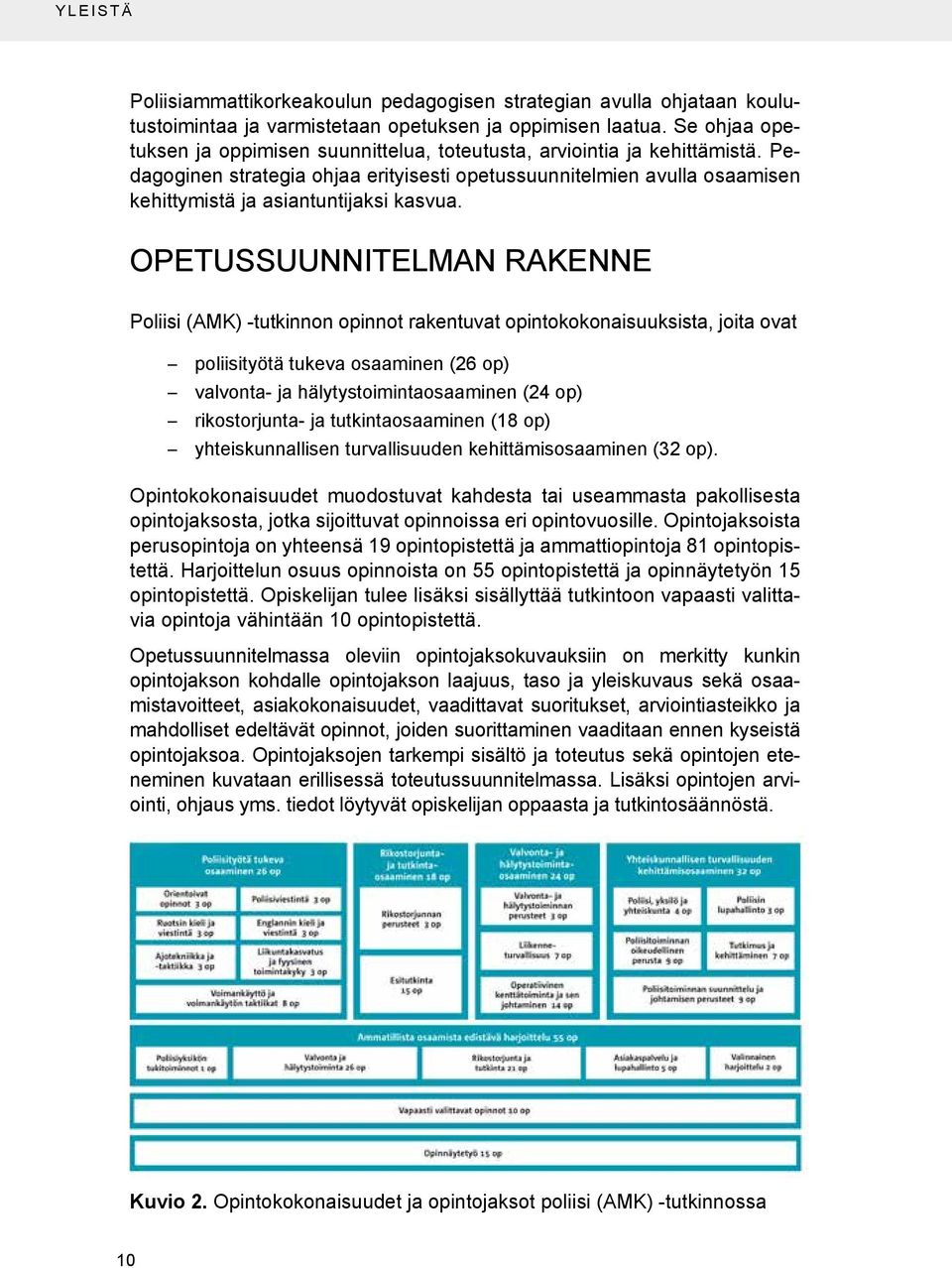 Pedagoginen strategia ohjaa erityisesti opetussuunnitelmien avulla osaamisen kehittymistä ja asiantuntijaksi kasvua.