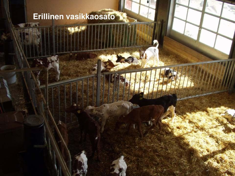 Valio Oy 26.1.