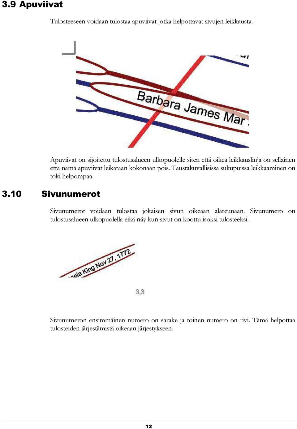 Taustakuvallisissa sukupuissa leikkaaminen on toki helpompaa. 3.10 Sivunumerot Sivunumerot voidaan tulostaa jokaisen sivun oikeaan alareunaan.