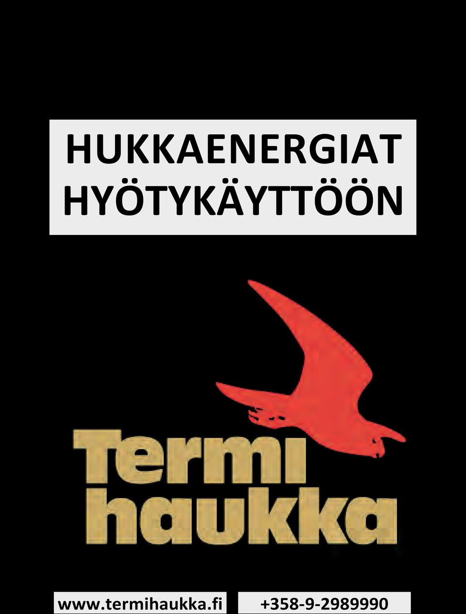 www.termihaukka.