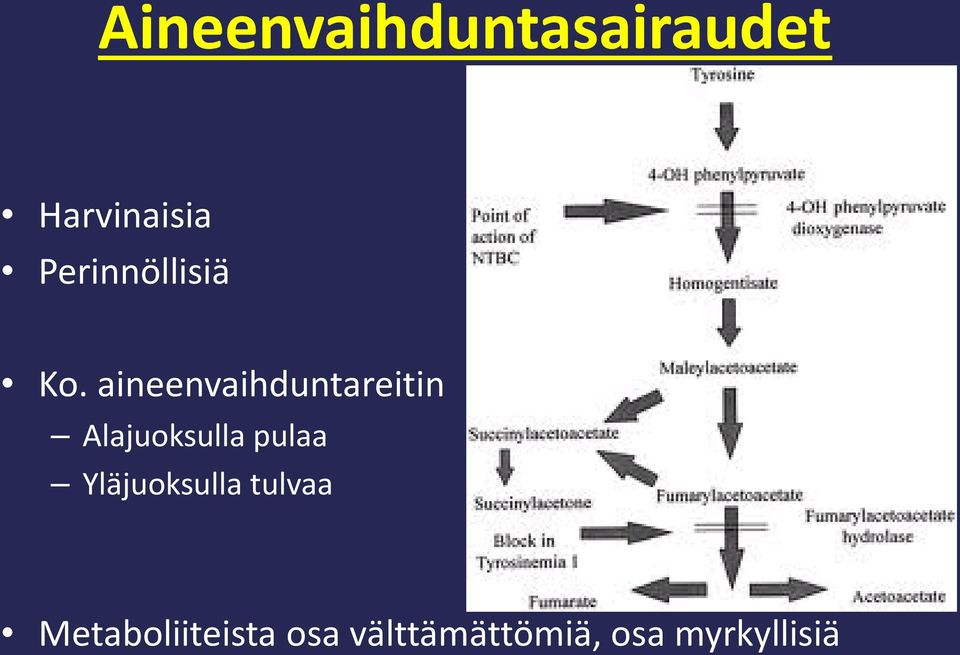 aineenvaihduntareitin Alajuoksulla pulaa