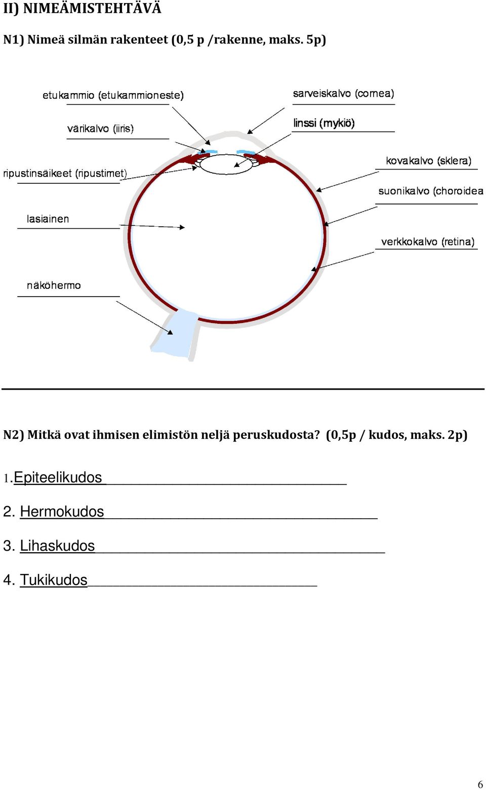 5p) N2) Mitkä ovat ihmisen elimistön neljä