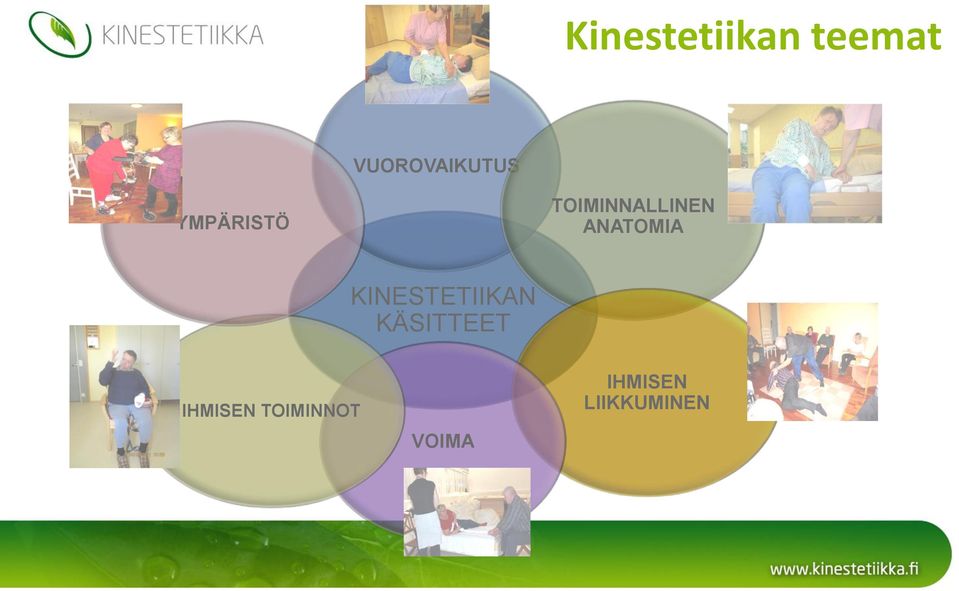 TOIMINNALLINEN ANATOMIA